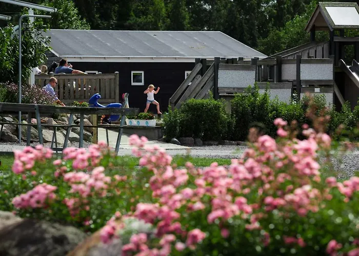 Hasle Camping Camping